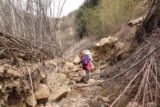 Portrero_John_095_03192017 - Mom continuing to negotiate fallen branches and loose rocks on Potrero John Creek