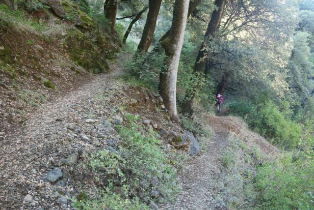 Potem_Falls_011_06202016 - Mamma che scende gli stretti tornanti che portano alle Potem Falls