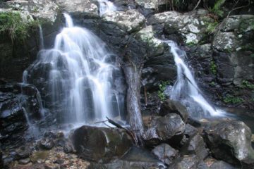 Protestors Falls was another tall, wispy waterfall in the lush Nightcap National Park near Lismore.   We witnessed this fairly light-flowing waterfall in May 2008, which plunged some 25-30m...