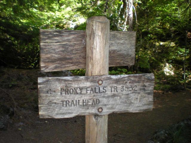 Proxy_Falls_006_jx_08192009 - Signs facing in opposite directions by a trail junction between both the Upper Proxy Falls and the Lower Proxy Falls
