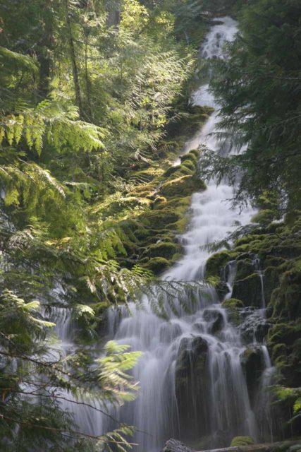 Proxy_Falls_035_08192009