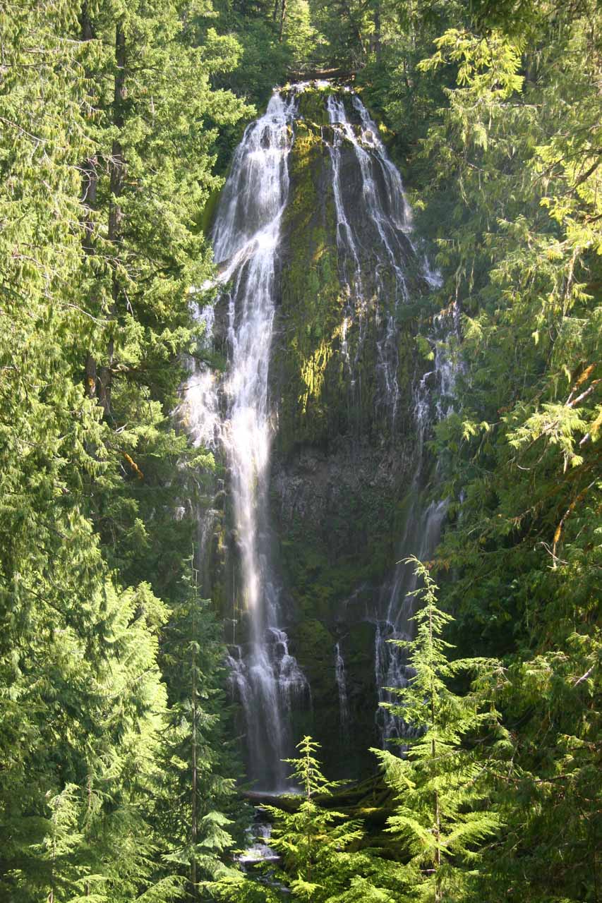 Proxy Falls - Photogenic Falls in Three Sisters Wilderness