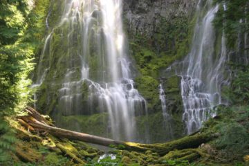 Proxy Falls is an impressively tall dual-segmented waterfall perhaps 200ft tall.  It could very well be the prime natural attraction of the Three Sisters Wilderness, and its popularity...