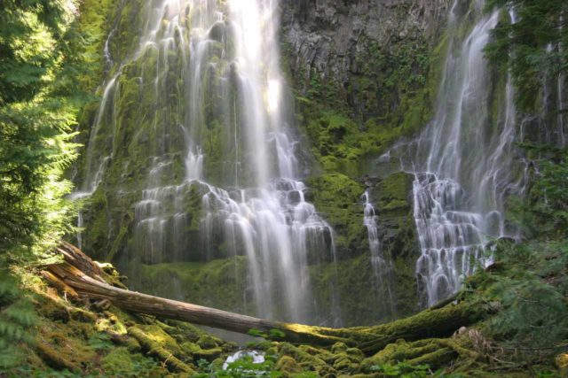 Proxy_Falls_065_08192009 - Proxy Falls
