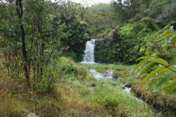 Puaa Kaa Falls (or Pua'a Ka'a Falls) resides in the Pua'a Ka'a State Park, which makes it one of the rare waterfalls where public access is welcome...