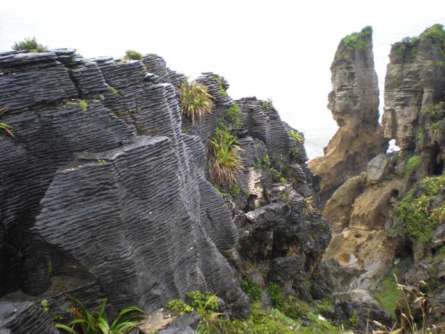 Punakaiki_009_jx_12282009 - On the drive north from Greymouth through Westport and towards Hector and the Charming Creek Walkway, there was the eccentric Pancake Rocks at Punakaiki (88km south of Hector)