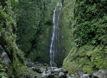 Punalau Falls is a relatively hidden yet gorgeous 100ft waterfall at the head of a tricky stream scramble.  Due to the nature of the hike, you really have to watch out...
