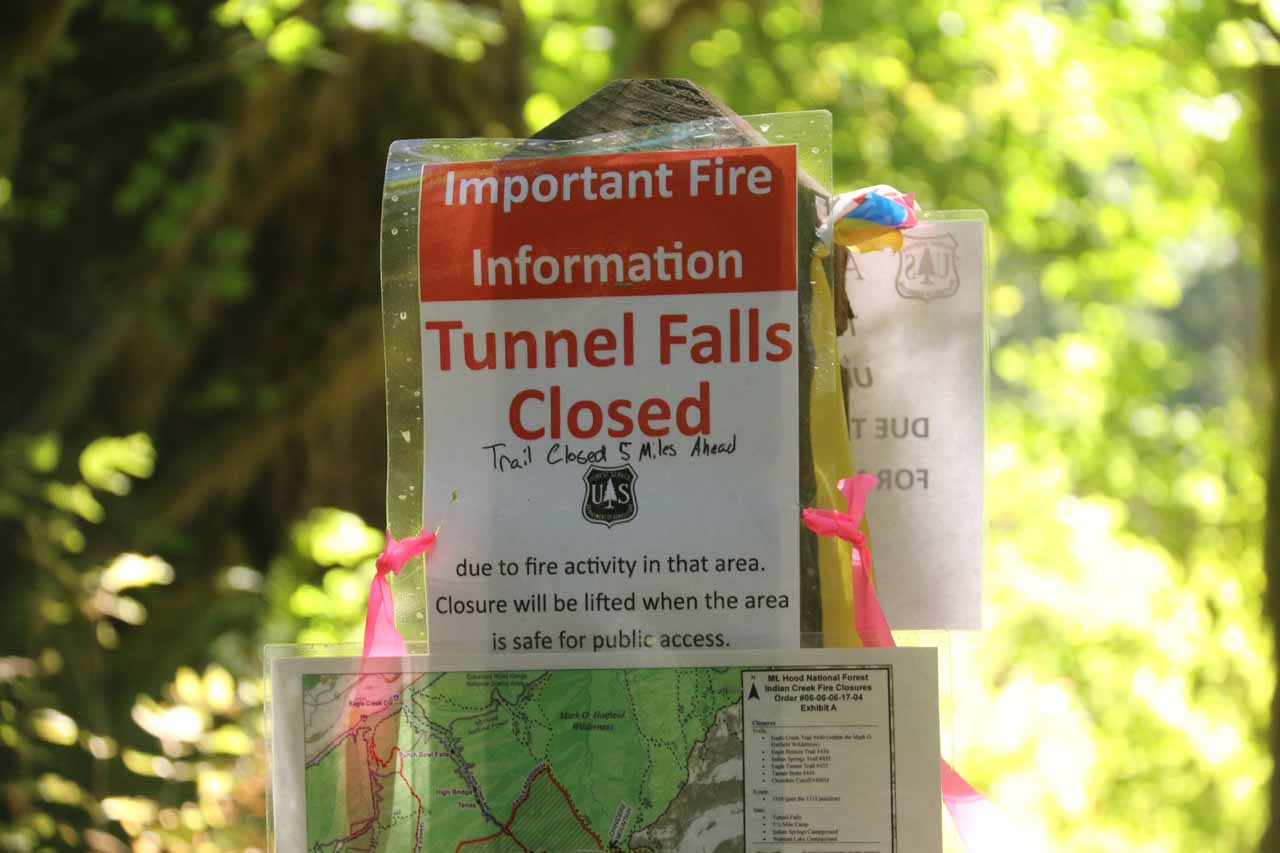 When I last did the Eagle Creek Trail, I couldn't make it to Tunnel Falls due to a fire, but little did I realize that a few weeks later, a kid carelessly tossing fireworks into the gorge would cause the Eagle Creek Fire (whose closures and effects are still being felt several years later)