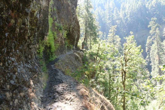 Punch_Bowl_Falls_17_043_08182017 - The Eagle Creek Trail was on ledges that were narrow and hugged cliffs like these, but there were often railings or chains to hold onto in order to mentally help the unsure