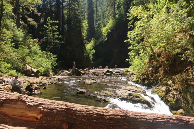 Punch_Bowl_Falls_17_092_08182017 - Looking ahead from the Lower Punch Bowl Falls (where some daredevils used this log as a diving board) at the people chilling out near the Punch Bowl Falls not seen in the distance