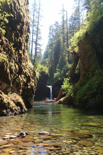Punch_Bowl_Falls_17_099_08182017 - People who have made the swim up to the secluded cove before the Punch Bowl Falls on Eagle Creek