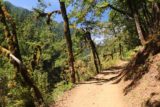 Punch_Bowl_Falls_17_141_08182017 - Making the return hike along the Eagle Creek Trail