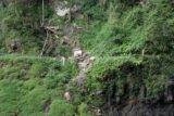 Purling_Brook_Falls_069_05092008 - Landslide responsible for the trail closure