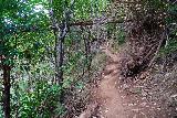 Puu_Hinahina_Canyon_Trail_166_11212021 - Continuing along the Canyon Trail on the way back