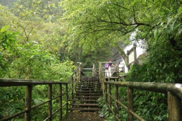 The Qingshan Waterfall was a modestly-sized waterfall on the quieter north side of Yangmingshan, which was an area more known for hot springs than a nature hike like this.  Our relatively ...