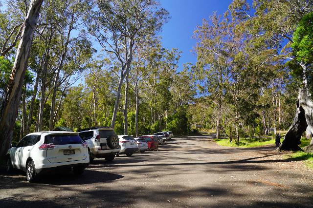 Queen_Mary_Falls_001_07072022 - The car park for the Queen Mary Falls, which was right across Spring Creek Road from the Queen Mary Falls Caravan Park
