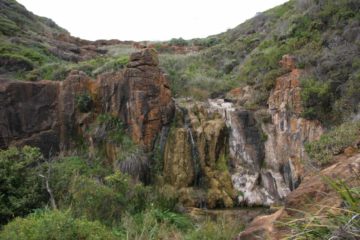 Quinninup Falls was an ocean-facing 10m waterfall tumbling onto a sandy beach near the Cape-to-Cape Trail in the Leeuwin-Naturaliste National Park.  As you can see from the photos on this page...