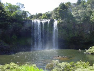 Rainbow Falls was a very nice waterfall that eerily reminded me of how Whangarei Falls looked, which we had seen just the day before seeing this one.  Not only did they look the same, they had...