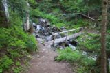 Rainier_006_08242011 - Crossing a creek over a one-sided log bridge