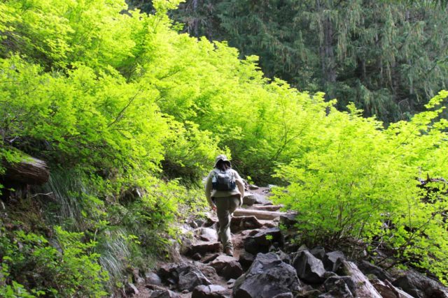 Rainier_226_08252011