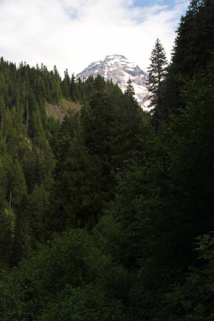Rainier_234_08252011