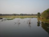 Ranthambore_004_jx_11062009 - A calm wetland in Ranthambore
