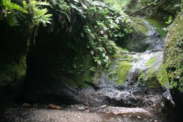 Rarotonga_027_01112010 - The Wigmore's Waterfall or Papua Waterfall in the heart of Rarotonga