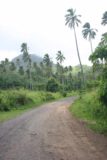 Rarotonga_034_01112010 - The road to the Papua Waterfall or Wigmore's Waterfall