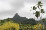 Rarotonga_062_01112010 - Looking back at mountains and palm trees at Avarua