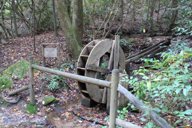 Reedy_Cove_Falls_005_20121017 - Waterwheel seen on the short hike to the lookout for Reedy Cove Falls