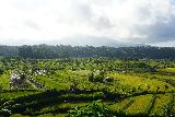 Rice_Fields_b4_Mt_Agung_002_06182022 - Looking across the rice terraces and fields somewhere near Tirta Gangga