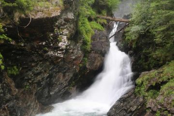 Riesachfalle (or more accurately Riesachfälle) was a waterfall situated at the head of the Untertal Valley upslope from Schladming and Rohrmoos.  It actually consisted of two waterfalls...