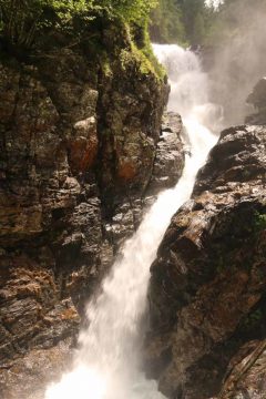 Riesachfalle_Schladming_036_07032018