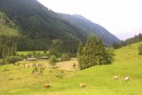 Riesachfalle_Schladming_055_07032018 - In my unsuccessful attempt at seeing if there were more waterfalls of the Riesachfaelle, I took this long switchback revealing beautiful views of the Untertal Valley and the pastures within