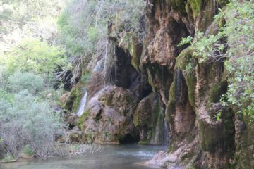 The Nacimiento del Rio Cuervo (or Río Cuervo with the accent) popularly referred to the waterfall or cascada that would typically flow over a series of bush-clad travertine walls and alcoves...