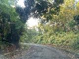 Rio_Espiritu_Santo_004_iPhone_04212022 - On the deteriorating PR-186 Road into El Yunque Forest in pursuit of Rio Espiritu Santo
