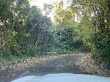 Rio_Espiritu_Santo_015_iPhone_04212022 - On the deteriorating PR-186 Road into El Yunque Forest in pursuit of Rio Espiritu Santo