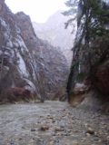 Riverside_Walk_002_03152003 - It started raining when we were doing the Riverside Walk in Zion Canyon. That made us realize that there might be waterfalls appearing in Zion Canyon during our March 2003 visit