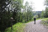 Rjukan_035_06192019 - On the trail leading to Rjukanfossen