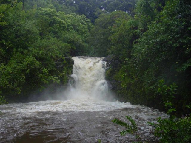 Road_to_Hana_032_09012003 - Upper Puohokamoa Falls in high flow
