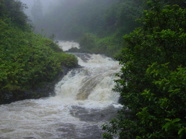 Road_to_Hana_049_09012003 - Wailua Iki Falls in flooded state