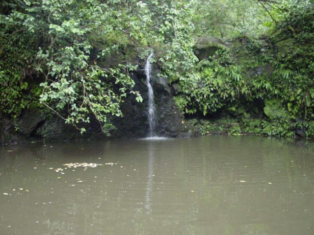 Haipuaena Falls (Haipua'ena Falls)