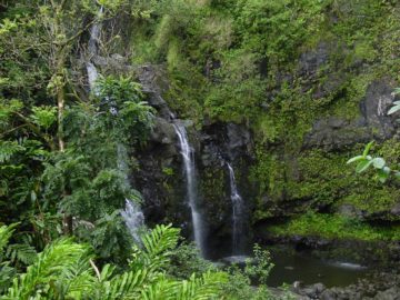 Upper Waikani Falls is one of the more famous waterfalls on the Hana Highway.  Affectionately dubbed the 