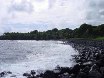 Road_to_Hana_134_09032003