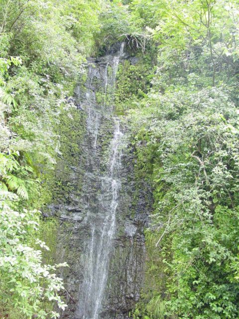 Paihi Falls on the Road to Hana (technically beyond Hana Town though) two dry days after the passing of a rain storm