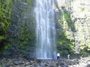 Situated at the head of Oheo Gulch, the 400ft Waimoku Falls dwarfs hikers who have made it to the end of the Pipiwai Trail. It's probably the tallest falls on Maui that you can see without a chopper..