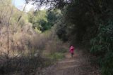 Rose_Valley_Apr_17_014_04022017 - Tahia running after Julie on the Rose Valley Falls Trail in April 2017