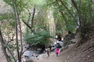 Rose Valley Falls was perhaps one of the easier waterfalls that we've visited, especially when it was near the rugged expanse of the Sespe Wilderness north of Ojai.  Therefore, it wasn't surprising...