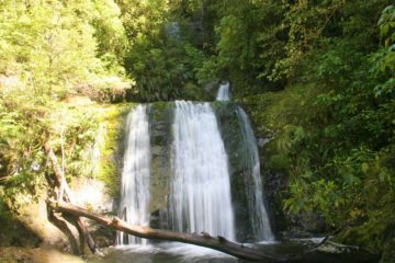 Ryde Falls was probably the closest waterfall to Christchurch that Julie and I encountered though even then it still required about a 90-minute drive from the South Island's largest city. So it was...