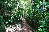 Salto_Santa_Clara_014_04182022 - Following the jungle trail leading closer to Salto Santa Clara